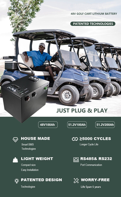 Golf Arabası için 100Ah 48 Volt Lityum Pil 51.2v 200Ah Lifepo4 Bms Şarj Cihazı ile